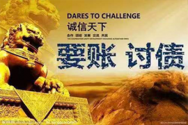 上海讨债公司：云栖催收：数字化催收云平台的领跑者